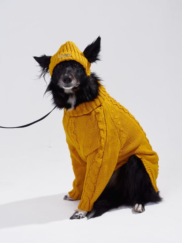 Suéter Annalia (2) Ropa de invierno cálida para perros