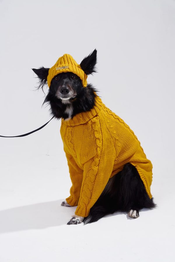 Ropa de invierno cálida para perros