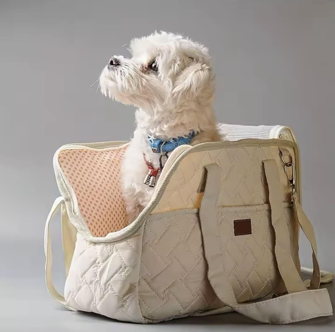 Bolsa de Mano para Perros y Gatos