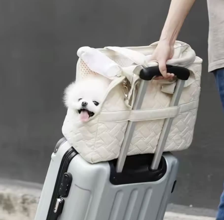 Bolso Lunita - Imagen 4