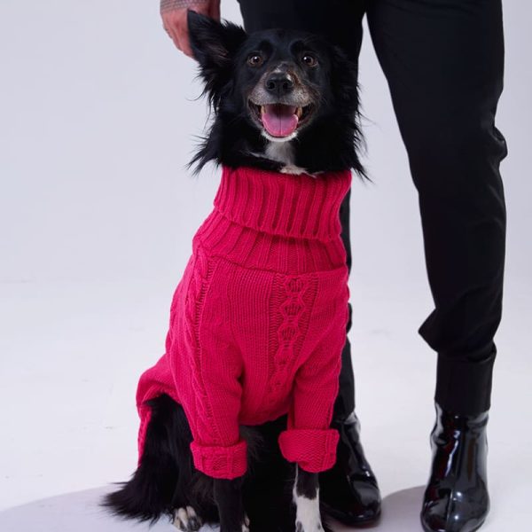 Suéter Annalia Fucsia de punto mascota