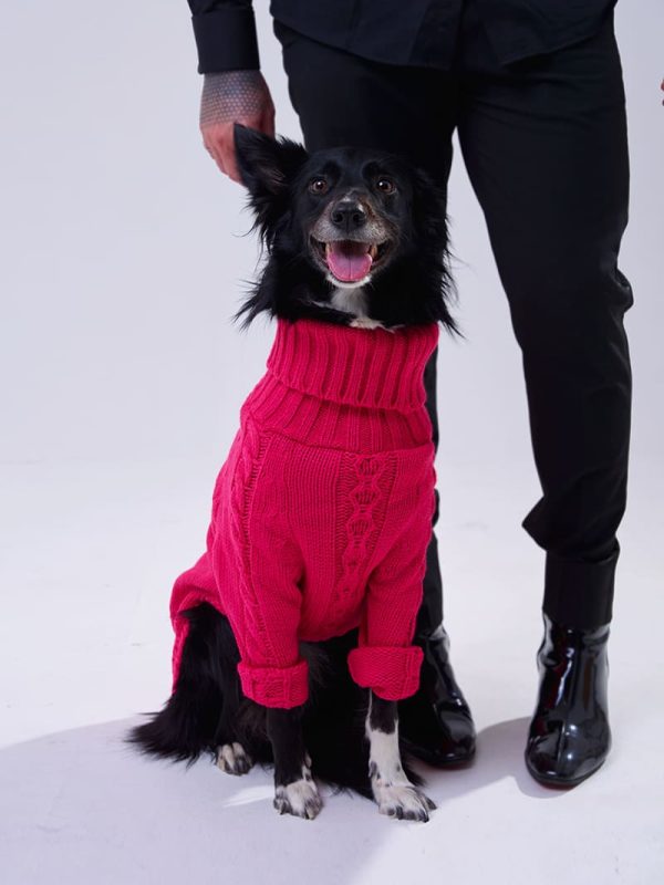 Suéter Annalia Fucsia Suéter Annalia Fucsia de punto mascota