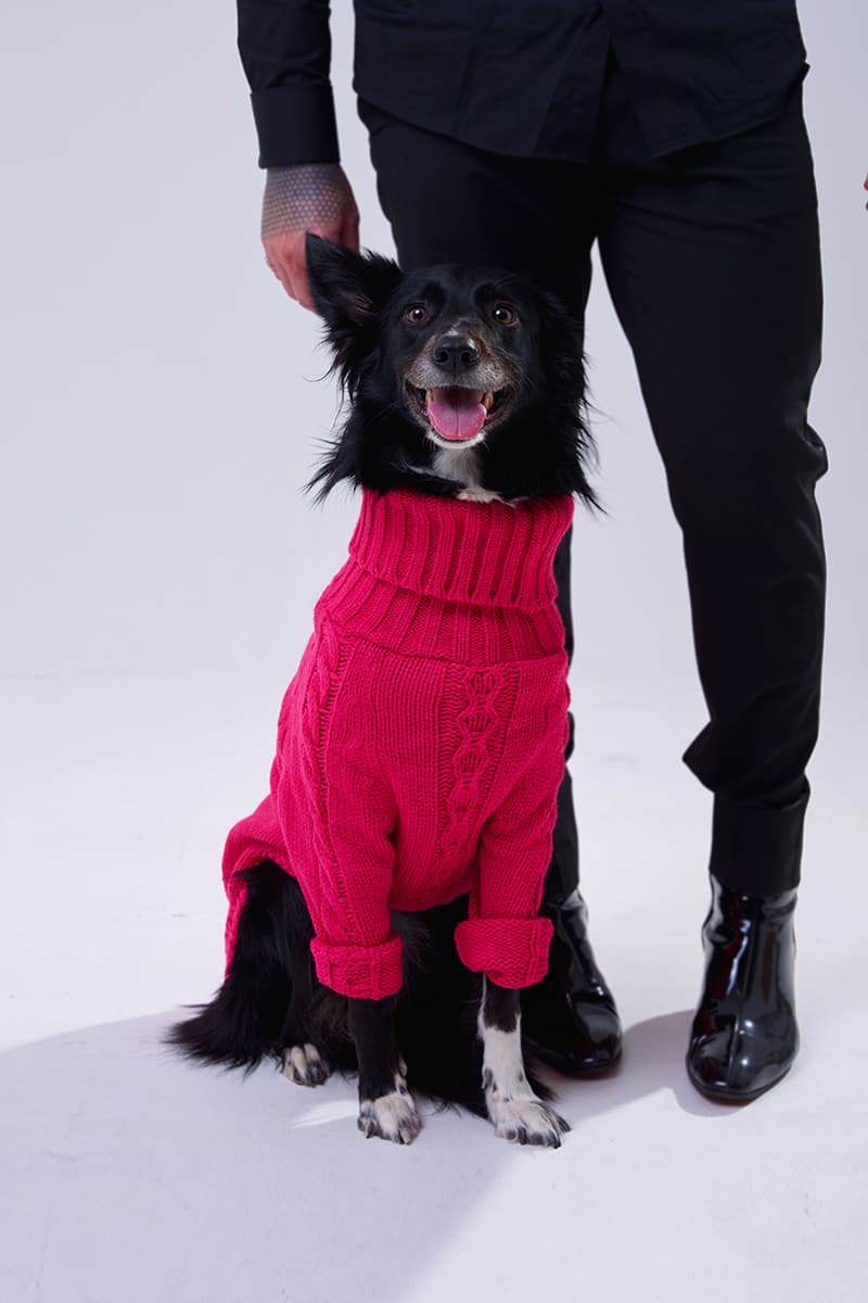 Suéter Annalia Fucsia de punto mascota